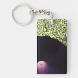 Sleutelhanger Paarse morning Glory Flower