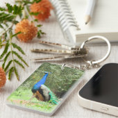 sleutelhanger - Peacock (Voorkant Rechts)