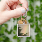 Sleutelhanger regenboog en bomen (Hand)