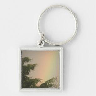 Sleutelhanger regenboog en bomen
