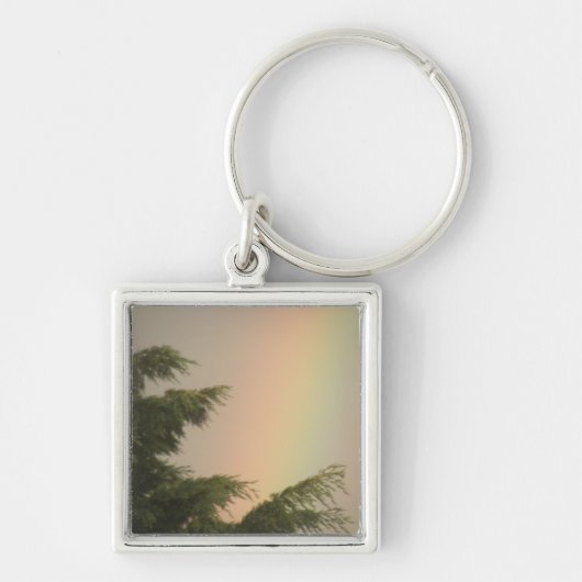 Sleutelhanger regenboog en bomen (Voorkant)