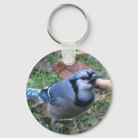 Sleutelhanger van Bluejay door Koobeer (Voorkant)