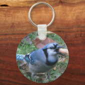 Sleutelhanger van Bluejay door Koobeer (Voorkant)