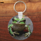Sleutelhanger van boomkikker (Voorkant)