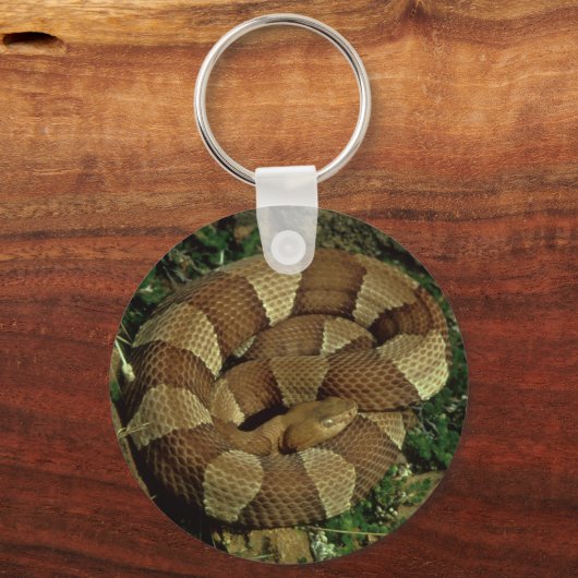 sleutelhanger van de brede kopslang (Voorkant)