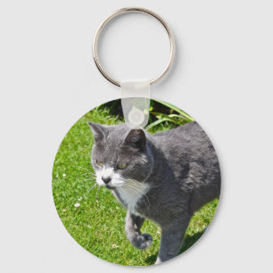 Sleutelhanger van grijze en witte katten