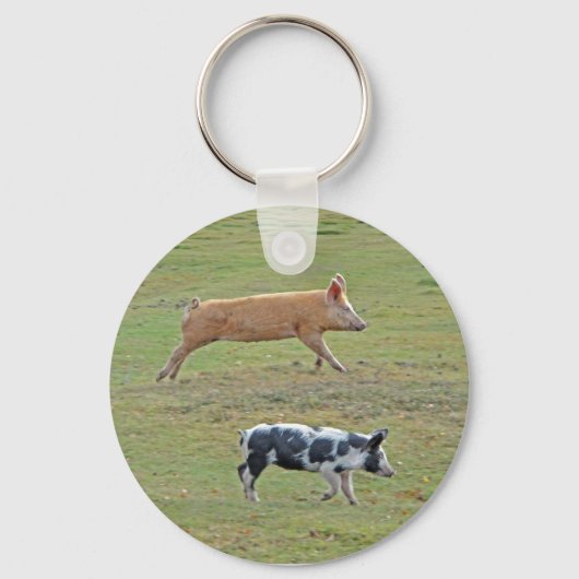 Sleutelhanger van het type Pigs-will-fly (Voorkant)