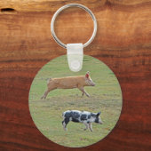 Sleutelhanger van het type Pigs-will-fly (Voorkant)