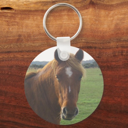 Sleutelhanger van kastanjepaarden (Voorkant)