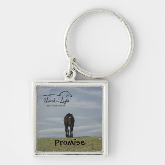 Sleutelhanger van paarden (Voorkant)