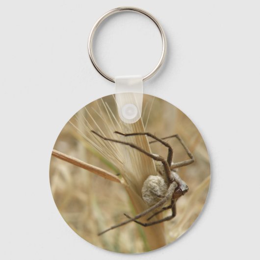Sleutelhanger van spin en eieren (Voorkant)
