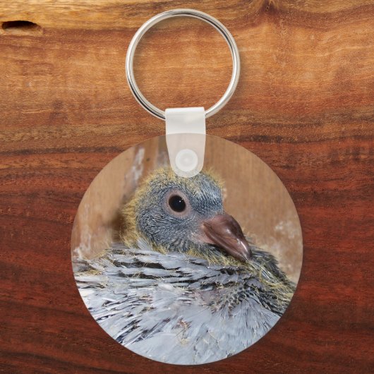 Sleutelhanger van trekduif (Voorkant)