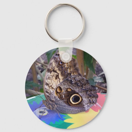 Sleutelhanger van vlinder (Voorkant)