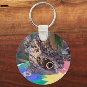 Sleutelhanger van vlinder (Voorkant)