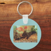 Sleutelhanger vistank (Voorkant)