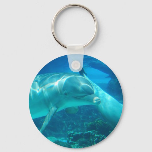 Sleutelhanger voor het afspelen van dolfijnen (Voorkant)