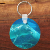Sleutelhanger voor het afspelen van dolfijnen (Voorkant)