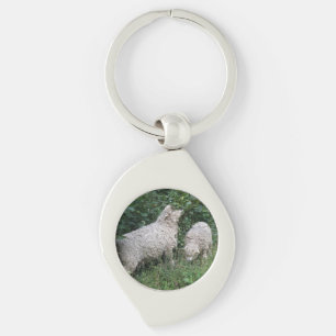 Sleutelhanger voor het eten van schapen