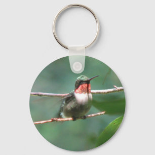 Sleutelhanger voor roofvogels