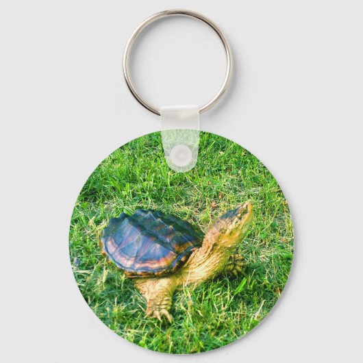 Sleutelhanger voor snuffelschildpad #3 (Voorkant)