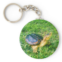 Sleutelhanger voor snuffelschildpad #3
