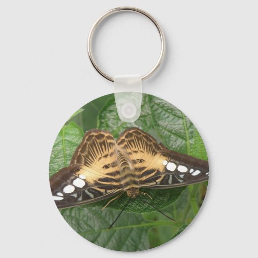 Sleutelhanger voor Tropische Clipper Butterfly (Voorkant)