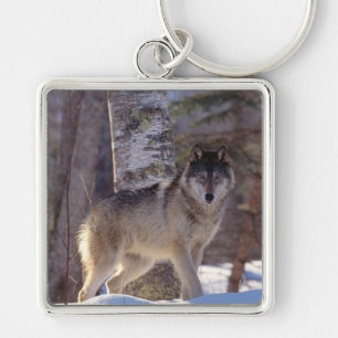 Sleutelhanger-Wolf Sleutelhanger