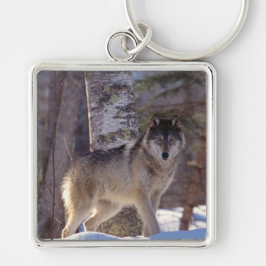 Sleutelhanger-Wolf Sleutelhanger (Voorkant)