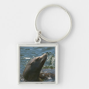 Sleutelhanger zeeleeuw