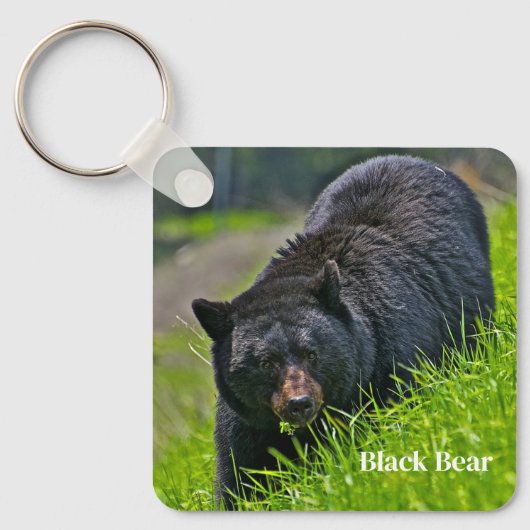 Sleutelhanger-zwart Beer Sleutelhanger (Voorkant)
