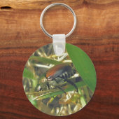 Sleutelhangers van Japanse bijenkooien (Voorkant)