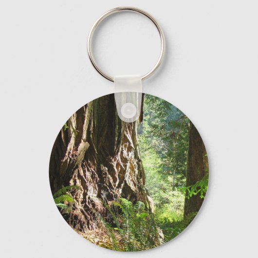 Sleutelhangers van Redwood-bomen (Voorkant)