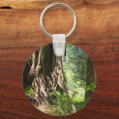 Sleutelhangers van Redwood-bomen (Voorkant)