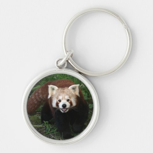 Sleutelketen - rode panda sleutelhanger (Voorkant)