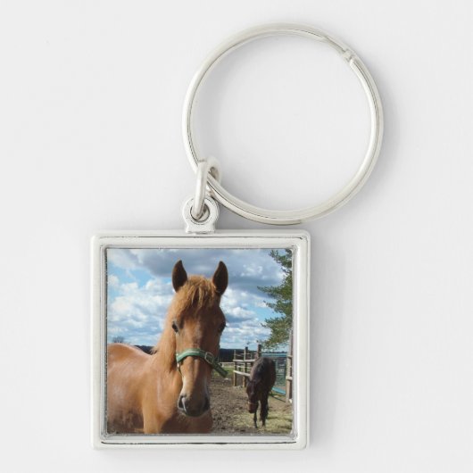 sleutelketen voor paarden sleutelhanger (Voorkant)