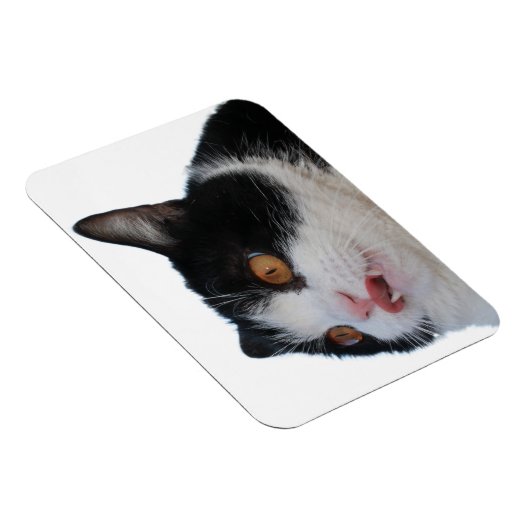 sleutelmagneet magneet (Rechterzijde)