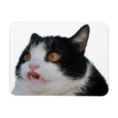 sleutelmagneet magneet (Horizontaal)