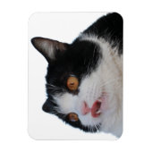 sleutelmagneet magneet (Verticaal)