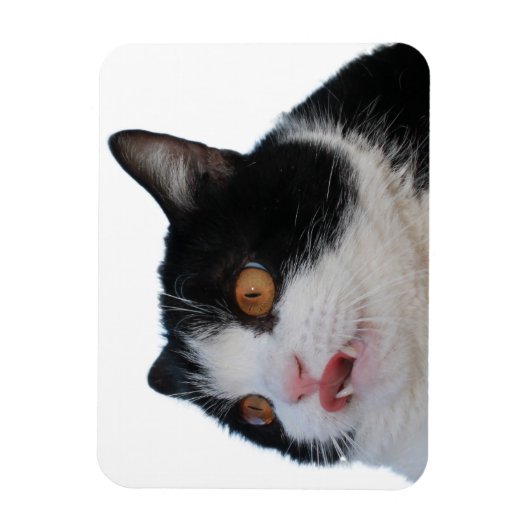 sleutelmagneet magneet (Verticaal)