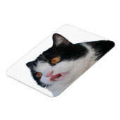 sleutelmagneet magneet (Linkerzijde)