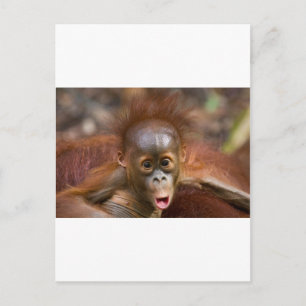 Sleutelondernemingen 1 briefkaart