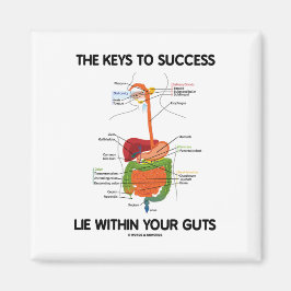 Sleutels aan succes binnen uw gast (spijsvertering magneet