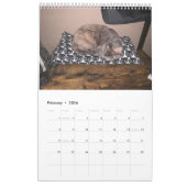 Sleuth o' Floofs Agenda 18 maanden Kalender (Feb 2026)