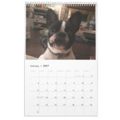 Sleuth o' Floofs Calendar Kalender (Jan 2027)