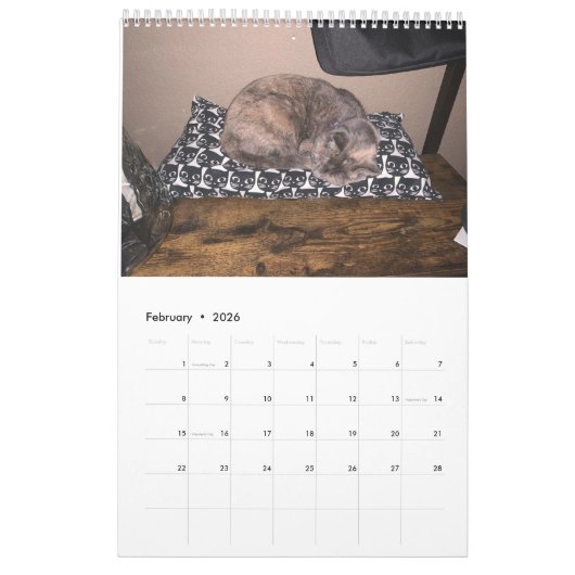 Sleuth o' Floofs Calendar Kalender (Feb 2026)