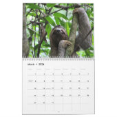 Sleuven 12-maands kalenderfoto's kalender (Mar 2026)