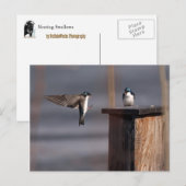 Slib 9659 briefkaart (Voorkant / Achterkant)