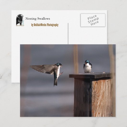 Slib 9659 briefkaart (Voorkant / Achterkant)