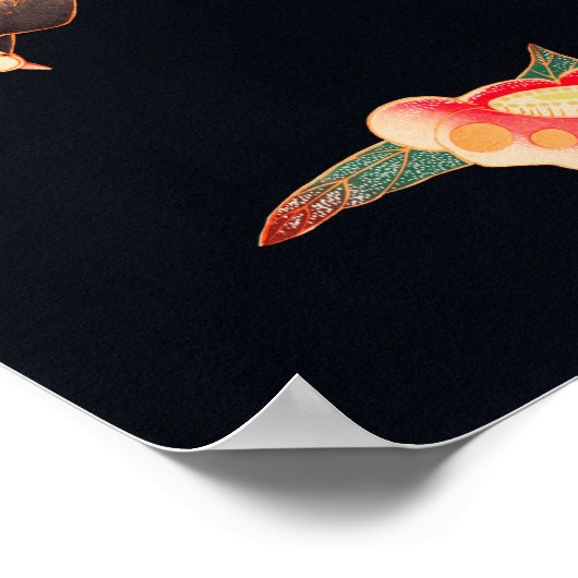 Slib en Camellia (1900) van Ito Jakuchu Poster (Hoek)