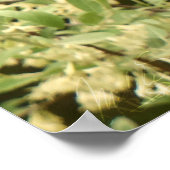 Slib-vlinders op bloeiende struikgewas poster (Hoek)